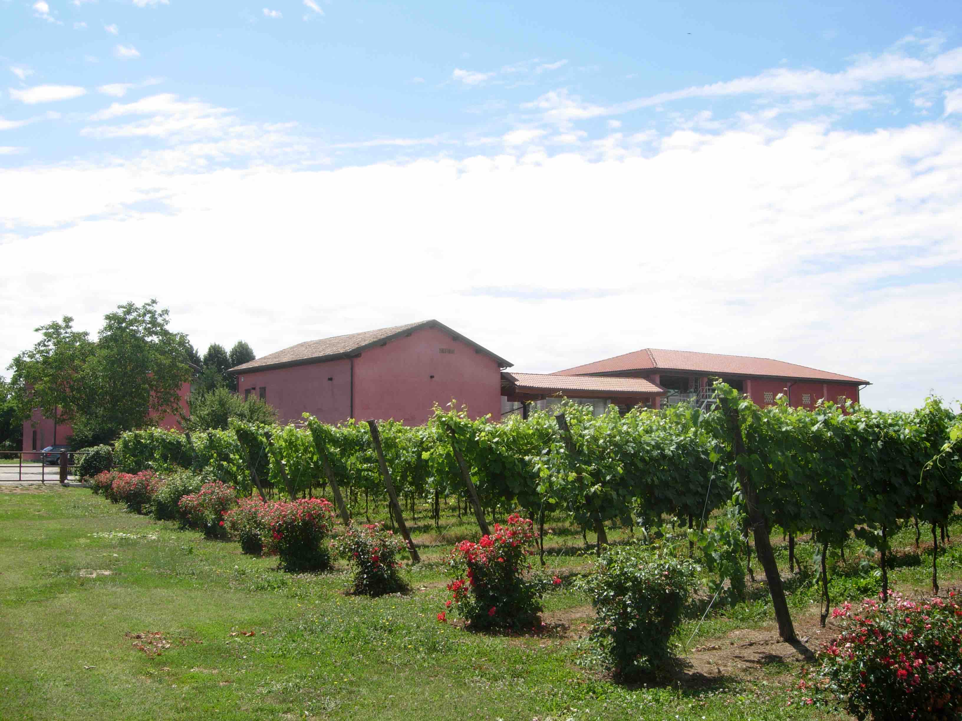 Azienda AZ