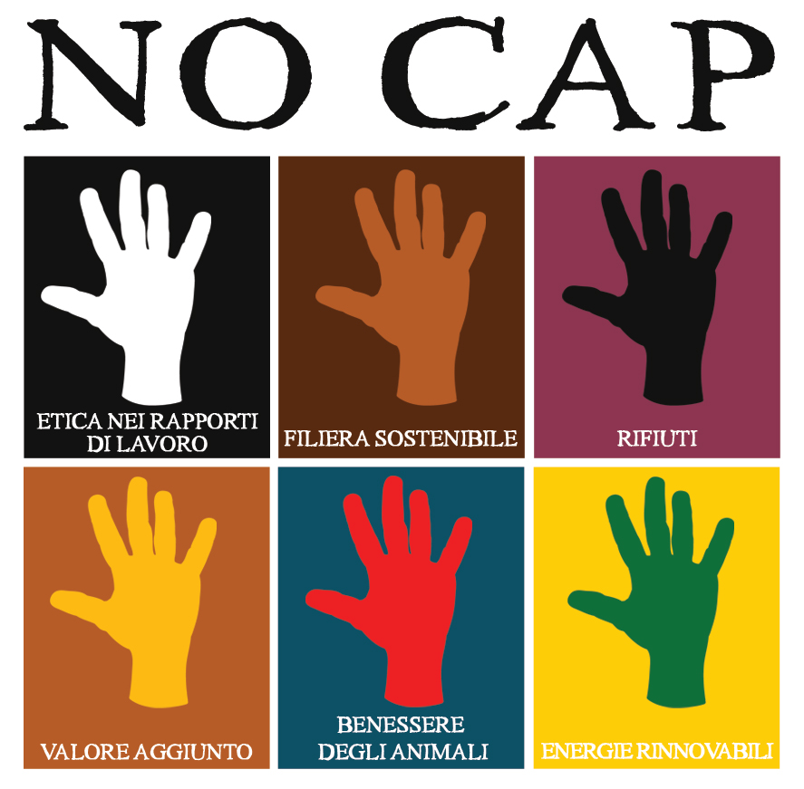No Cap Logo