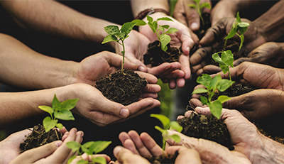 Agricoltura sociale: coincidenze e opportunità.